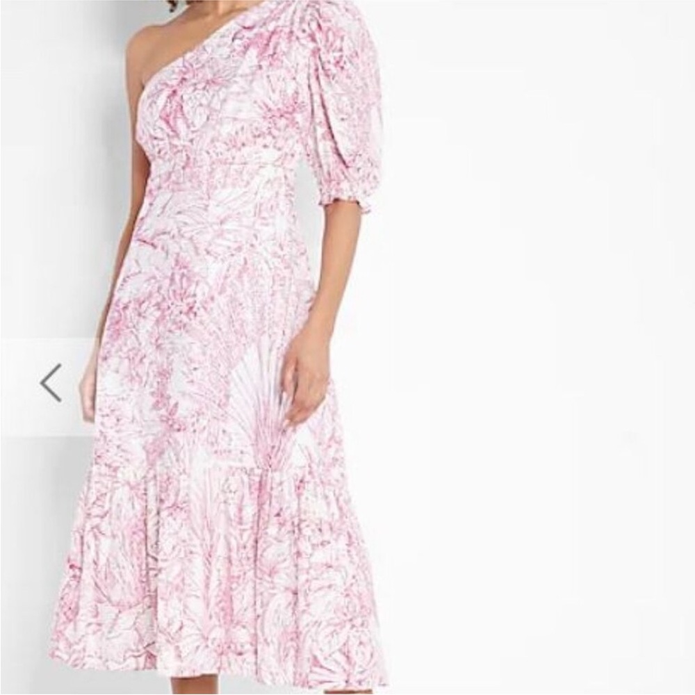 Express Pink Floral Maxi Dress